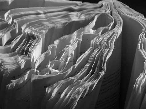 how to dry wet books: the importance of patience in literary restoration